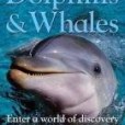 Dolphins and Whales Dolphins and Whales