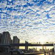 透光高積雲(魚鱗雲) 透光高積雲(魚鱗雲)