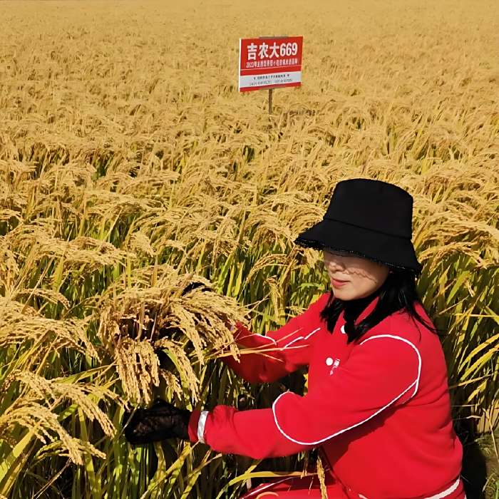 鑫姐說農業 鑫姐說農業