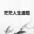 茫茫人生道路 茫茫人生道路