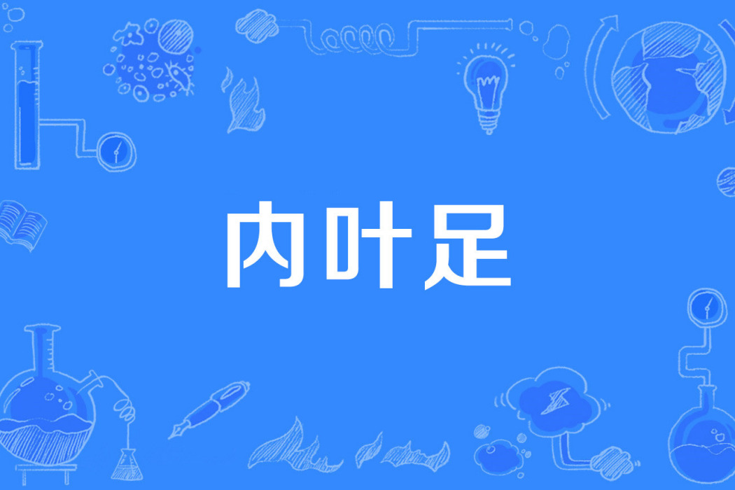 內葉足 內葉足
