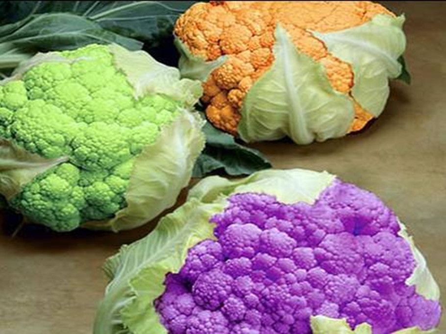 彩虹菜花 彩虹菜花