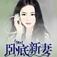 臥底新妻 臥底新妻