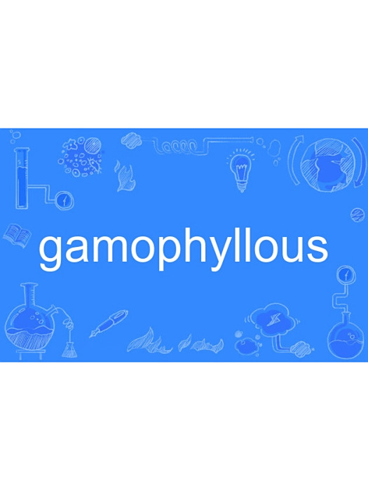 gamophyllous gamophyllous