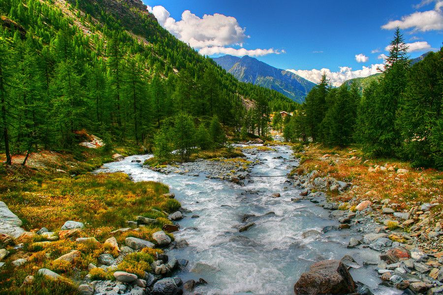 stream(程式語言中的stream) stream(程式語言中的stream)
