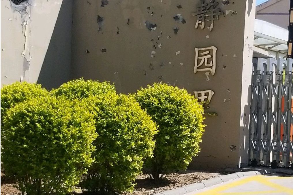 靜園裡 靜園裡