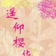 遙仰櫻華 遙仰櫻華