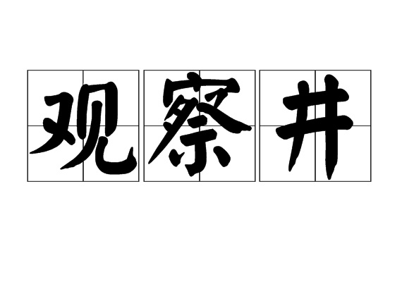 觀察井 觀察井