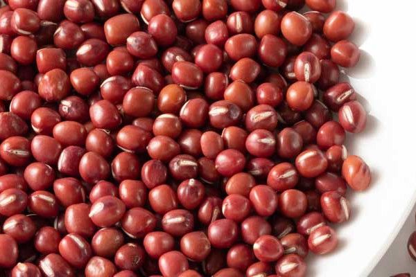 小深紅豆 小深紅豆
