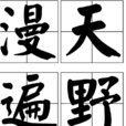 漫天遍野 漫天遍野