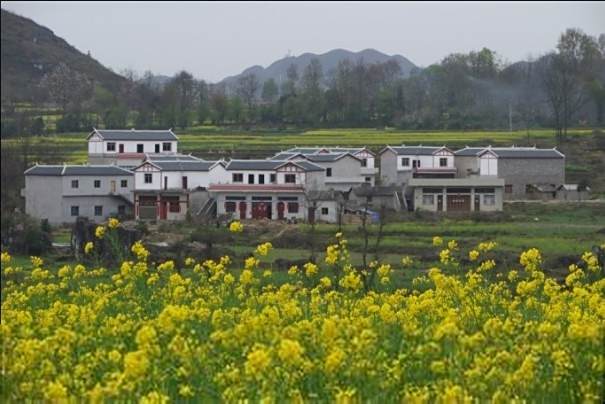 納孔村 納孔村