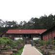 太子坪 太子坪