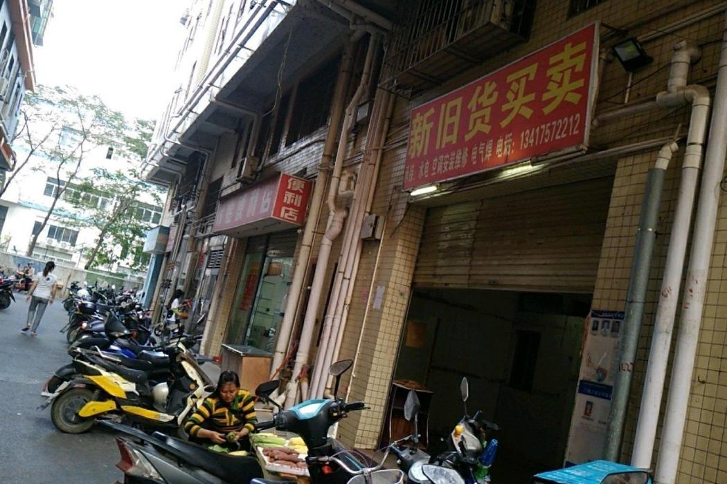 步涌新村 步涌新村