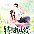 轉身試愛 轉身試愛
