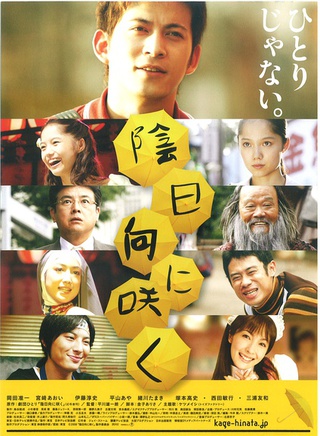 宮崎葵 宮崎葵