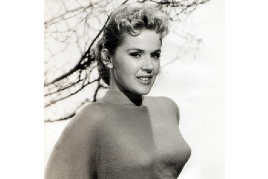 康妮·史蒂文斯(Connie Stevens) 康妮·史蒂文斯(Connie Stevens)