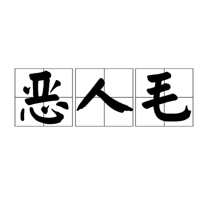 惡人毛