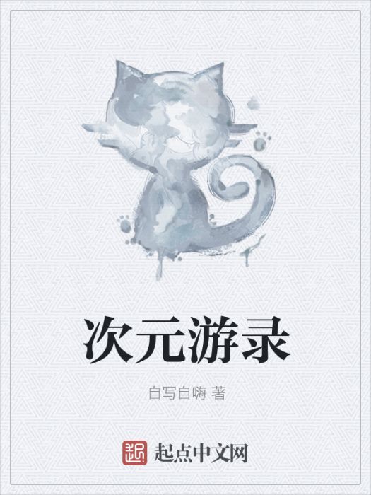 次元游錄 次元游錄