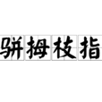 駢拇枝指 駢拇枝指