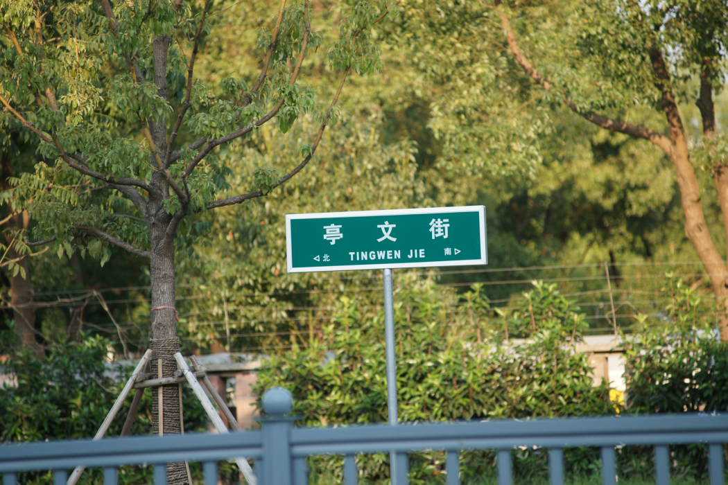 亭文街 亭文街