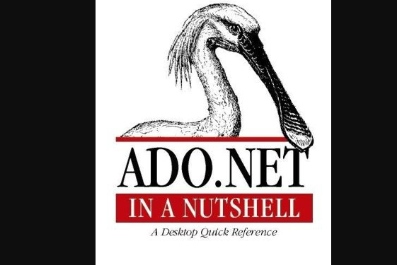 ADO.NET in a Nutshell ADO.NET in a Nutshell