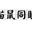 貓鼠同眠 貓鼠同眠