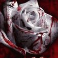 LES悲劇懸念小說：愛的盡頭-血玫瑰