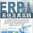 ERP系統及其實踐