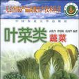 葉菜類蔬菜 葉菜類蔬菜