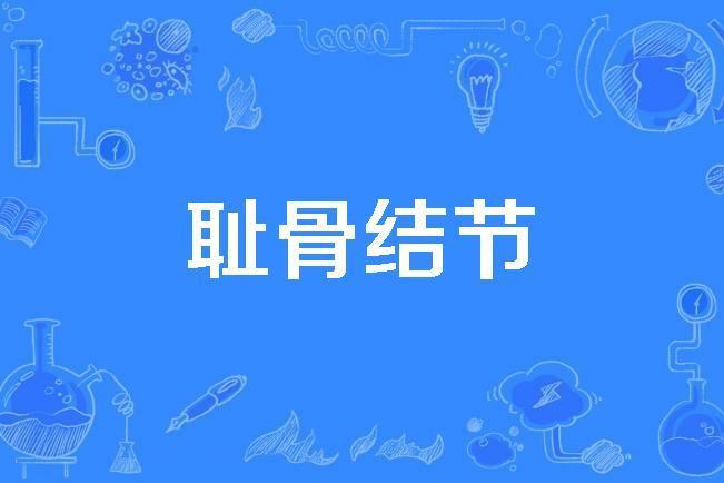 恥骨結節 恥骨結節