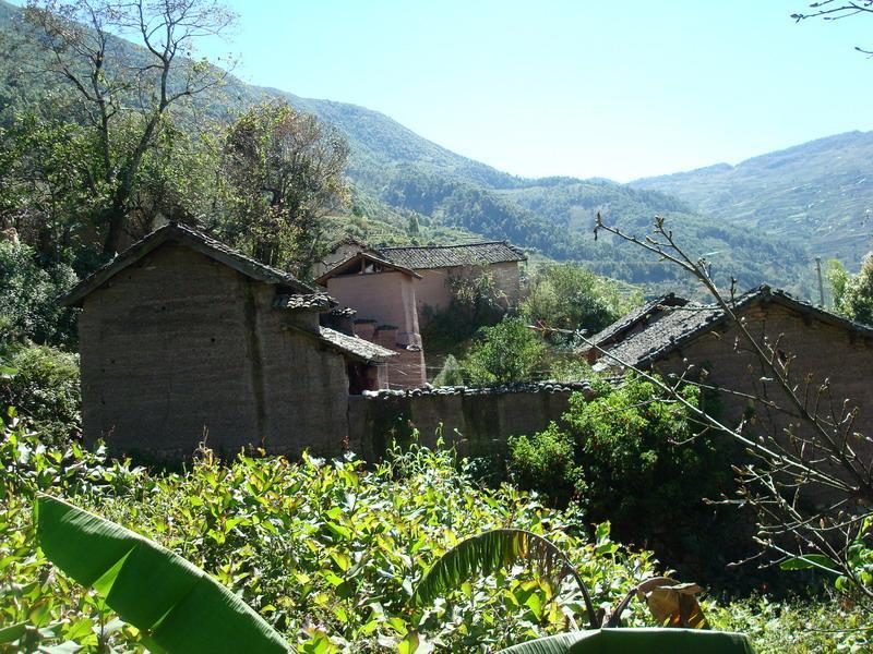 下丫口村(雲南普洱市景東縣安定鄉下轄村)