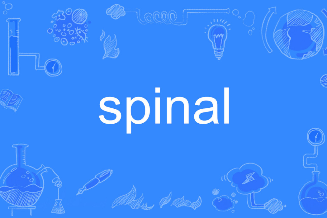 spinal spinal