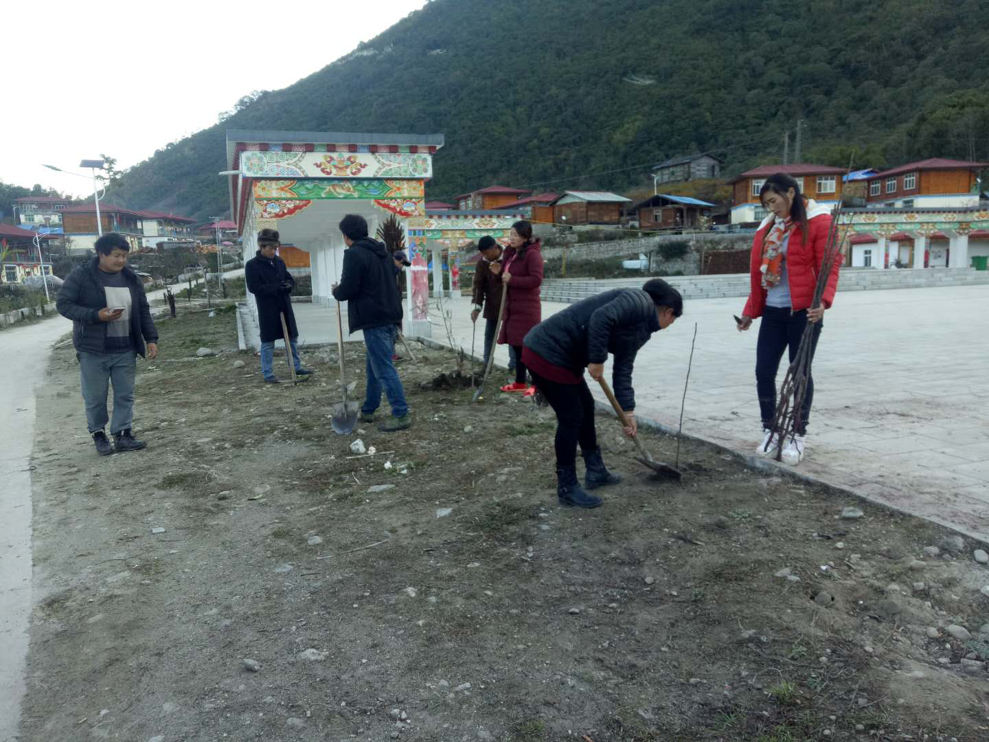 2018年3月達木鄉種植4500株梨樹苗