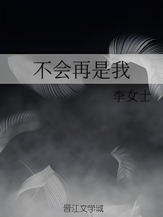 不會再是我 不會再是我