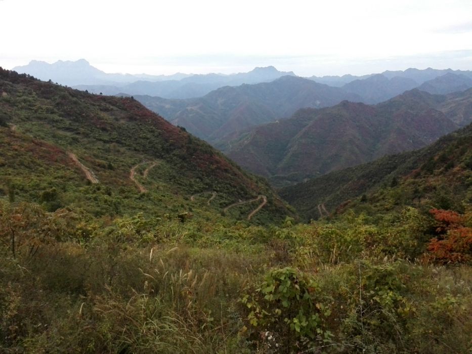 茶胡嶺村 茶胡嶺村
