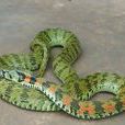 虎斑游蛇(爬行綱動物) 虎斑游蛇(爬行綱動物)