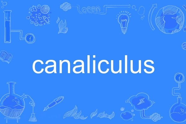 canaliculus canaliculus