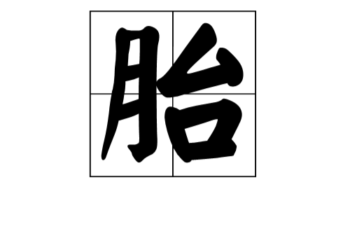 胎(漢語漢字)