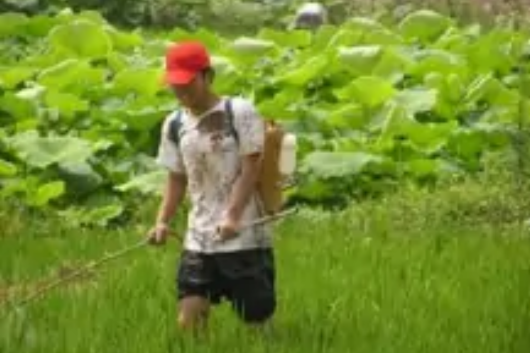 特丁通 特丁通