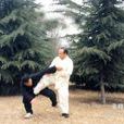 杜家拳 杜家拳