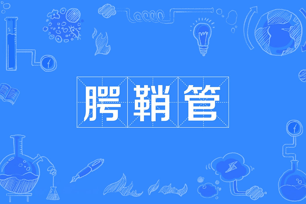 齶鞘管 齶鞘管