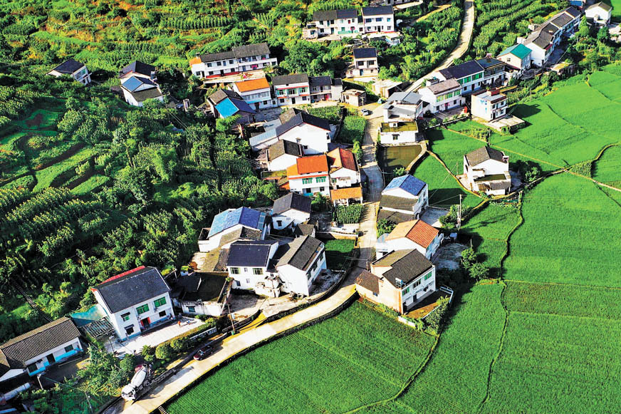 李二莊村 李二莊村