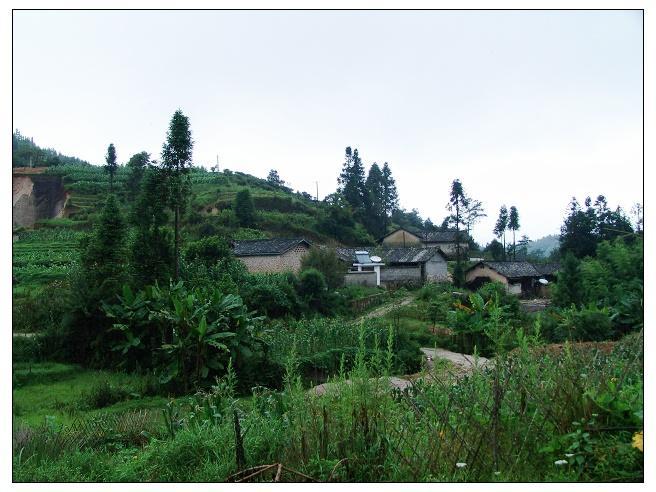 新塘房村 新塘房村