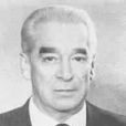 維諾格拉多夫(蘇聯社會科學情報學家)