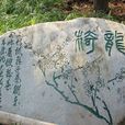超山(杭州超山風景區)