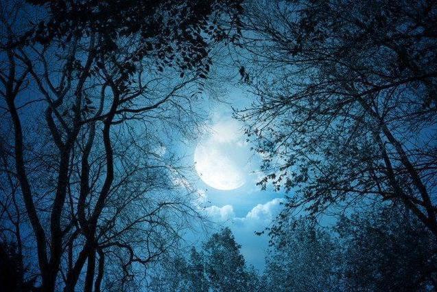 秋夜(南宋陸游詩作) 秋夜(南宋陸游詩作)