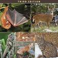 Mammals of the Great Lakes Region Mammals of the Great Lakes Region