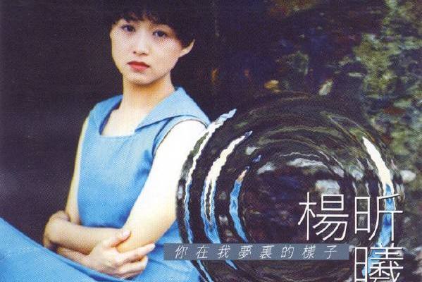 假裝(楊昕曦演唱的歌曲) 假裝(楊昕曦演唱的歌曲)