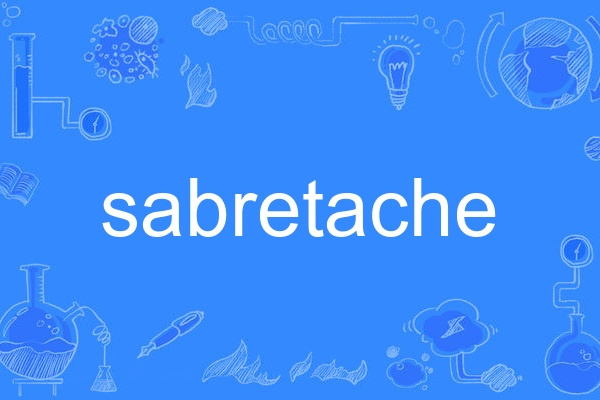 sabretache sabretache