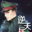 逆天兵王(八喜小哥創作的網路小說) 逆天兵王(八喜小哥創作的網路小說)